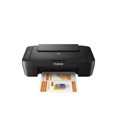 Stampante Canon PIXMA MG2550S 0727C006