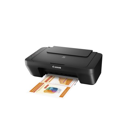 Stampante Canon PIXMA MG2550S 0727C006