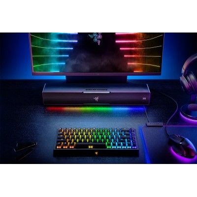 Speaker Razer Leviathan V2