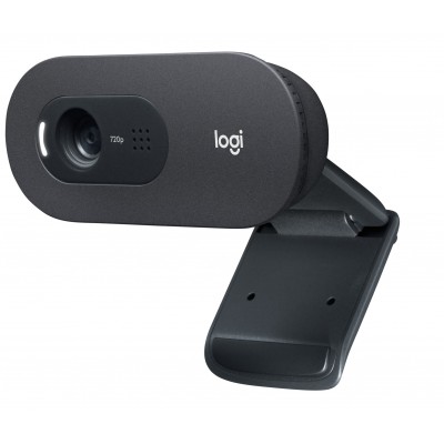 Webcam Logitech C505e