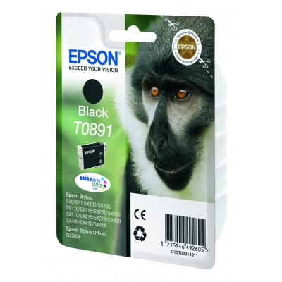 Cartuccia Epson C13T08914011 T0891 Nero