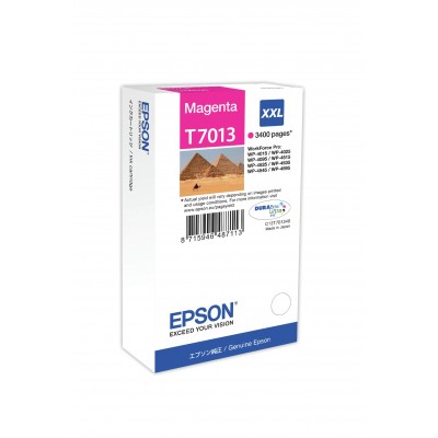 Cartuccia Epson C13T70134010 T7013 Magenta XXL