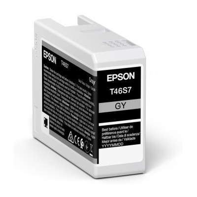 Cartuccia Epson d'inchiostro Grigio C13T46S700 T46S7 25ml