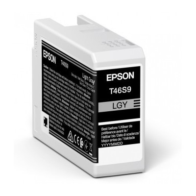 Cartuccia Epson d'inchiostro grigio (chiaro) C13T46S900 T46S9 25ml