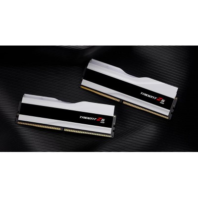 Ram G.SKILL TRIDENT Z5 DDR5 8000MHz 48GB (2x24) RGB XMP 3.0 CL40 ARGENTO