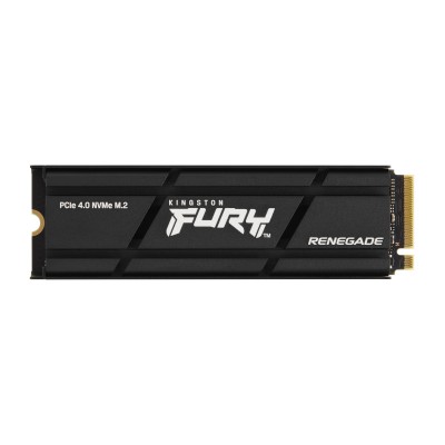 SSD M.2 KINGSTON FURY RENEGADE  Con Dissipatore Passivo  1TB SSD