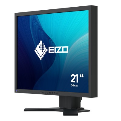 Monitor EIZO FlexScan S2134 21'' UXGA DisplayPort DVI-D VGA LED Nero