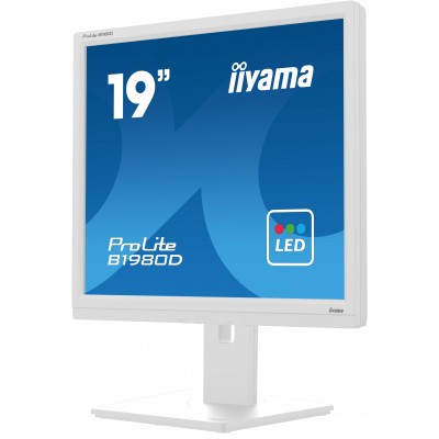 Monitor iiyama B1980D-W5 19'' SXGA TN VGA DVI LED Bianco