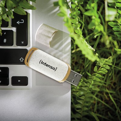 Pendrive Intenso Green Line 64 GB