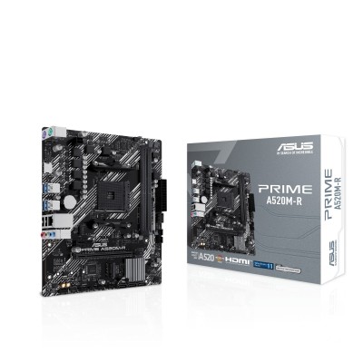 Scheda Madre Asus Prime A520M-R