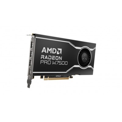 Scheda Video AMD Radeon PRO W7500 8GB