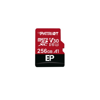 MICRO SDXC PARIOT  EP Series 256 GB 